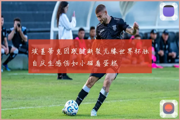 埃基蒂克因跟腱断裂无缘世界杯独自庆生感伤如小猫看蛋糕