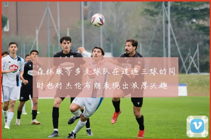 森林狼等多支球队在追逐三球的同时也对杰伦布朗表现出浓厚兴趣