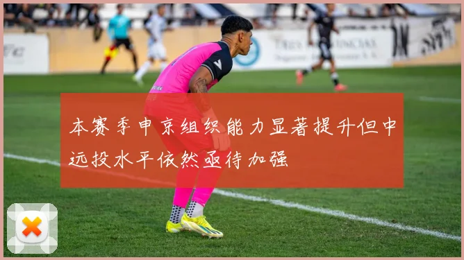 本赛季申京组织能力显著提升但中远投水平依然亟待加强
